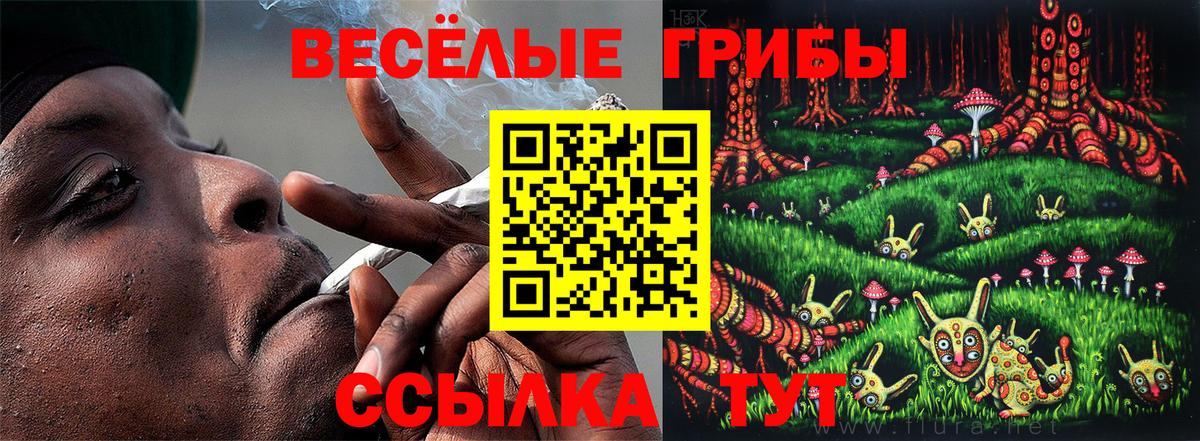 Воткинск  Псилоцибиновые грибы Cubensis  Вход с VPN 